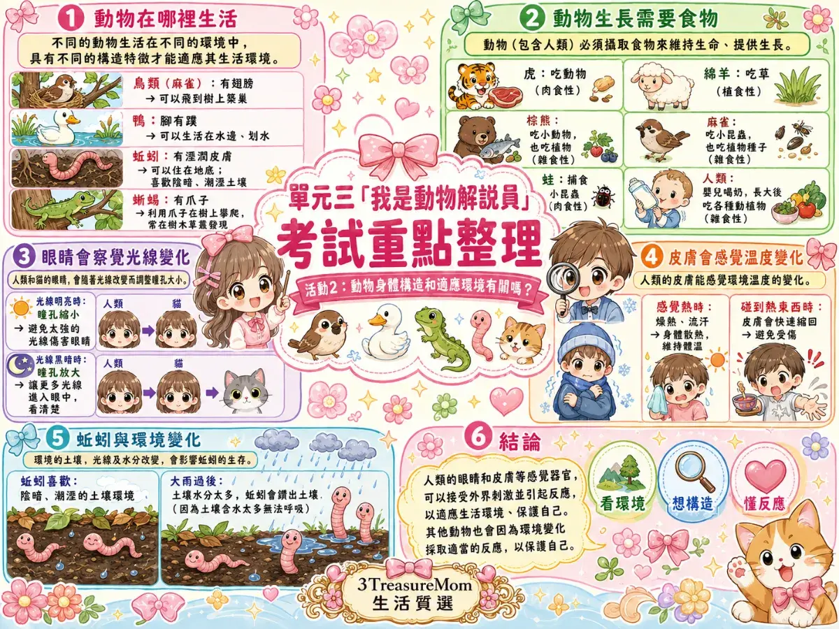 國小三年級自然科康軒單元3我是動物解說員考試重點心智圖，包含動物棲息環境、草食肉食雜食性、眼睛皮膚感官察覺環境