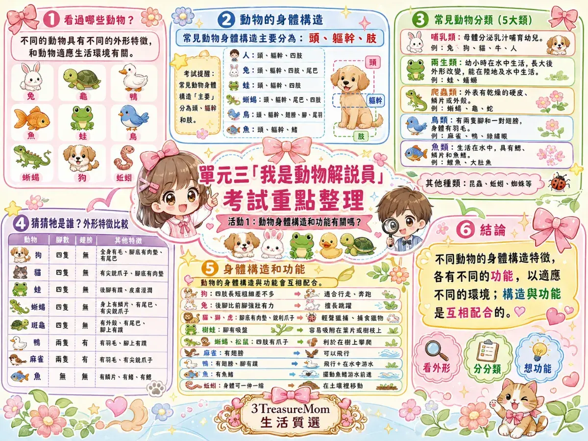 三年級自然科期末考複習－康軒單元3我是動物解說員考試重點心智圖，包含動物外形特徵、身體構造頭軀幹肢、五大動物分類比較表