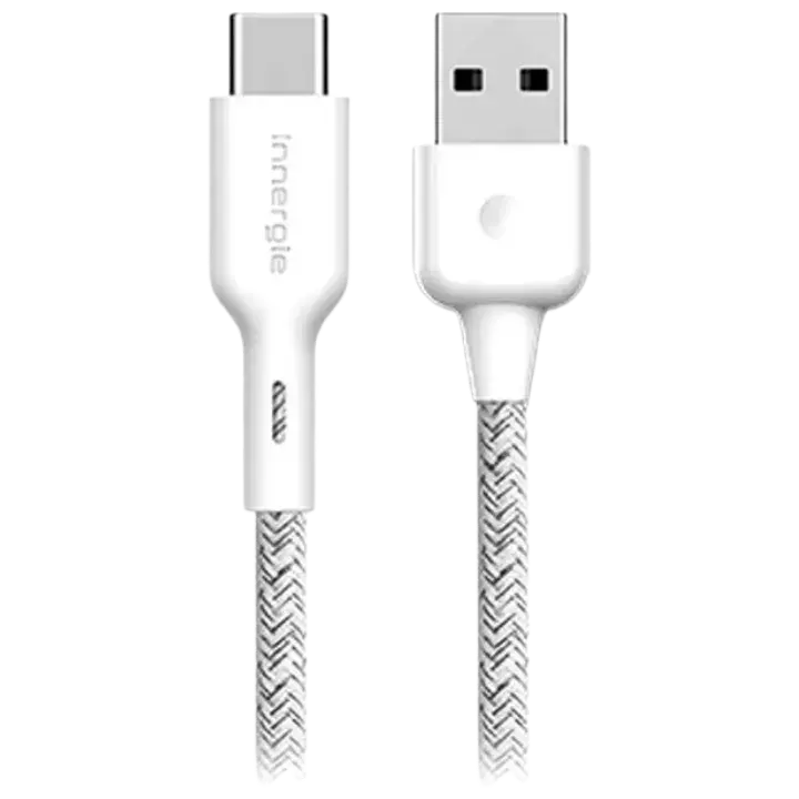 Innergie 台達 C-A USB-C 對 USB-A 充電線,台灣品牌長保固